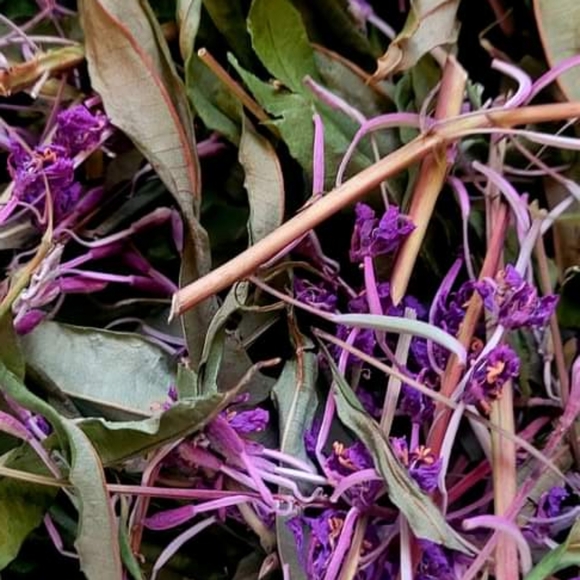 Meet your Posher, Val - Picture 2 of 6